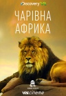 African Beauty! Чарівна Африка!