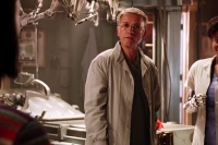 Аліта: Бойовий ангел