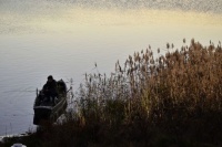 Карп отмороженный