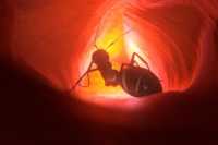 BEST SHORT. Зима, прощай!