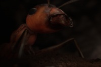 BEST SHORT. Зима, прощай!