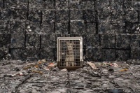 Остров собак