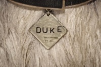 Остров собак