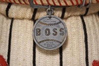 Остров собак