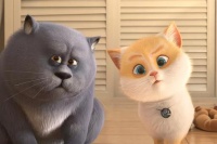 Велика котяча втеча