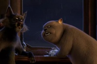 Велика котяча втеча