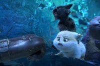 Велика котяча втеча