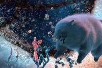 Велика котяча втеча