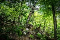 Кладбище домашних животных