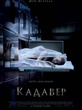 Кадавер