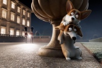 Королівський корґі