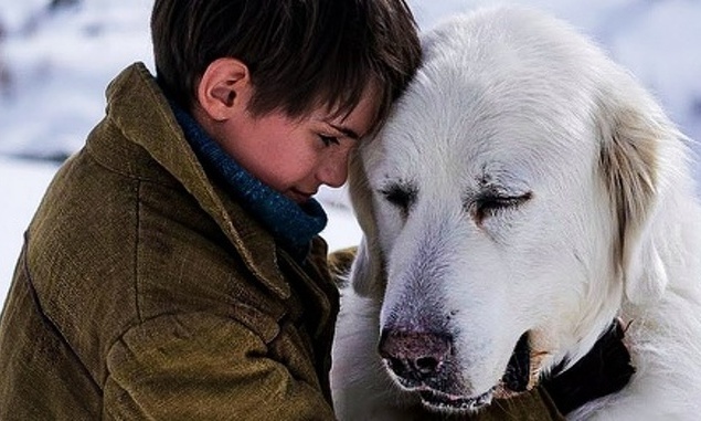 Белль і Себастьян : Друзі навік (Belle et Sébastien 3, le dernier chapitre), 2017