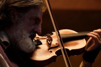 Приключения маленького Реми