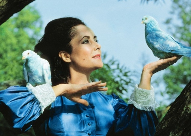 Синяя птица (1976)