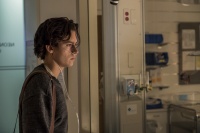 В пяти шагах к любви