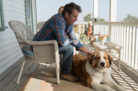 Подорож хорошого пса