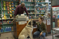 Подорож хорошого пса