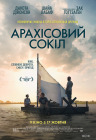 Арахісовий сокіл Арахісовий сокіл