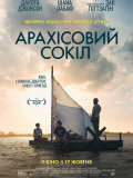 Арахисовый сокол