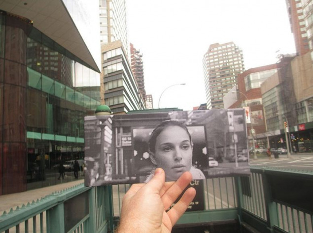 Чорний лебідь