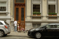 Слон и бабочка