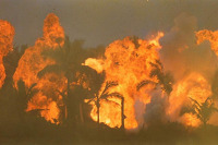 Київський тиждень критики - 2019