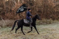 Черный ворон