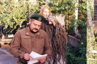 Мої думки тихі