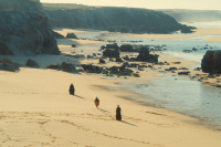 Вечори французького кіно - 2020