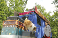 Лессі. Повернення додому