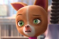 Лига домашних животных