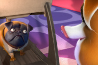 Лига домашних животных