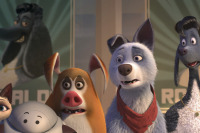 Лига домашних животных