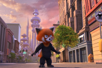 Лига домашних животных