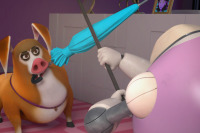 Лига домашних животных