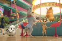 Лига домашних животных