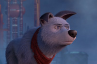 Лига домашних животных