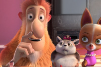 Лига домашних животных