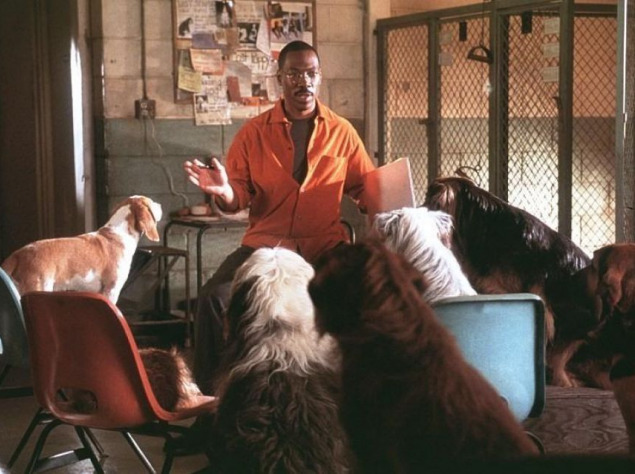 "Доктор Дуліттл" "Доктор Дуліттл"