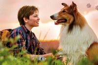 Лессі. Повернення додому