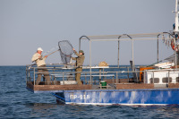 Передчуття