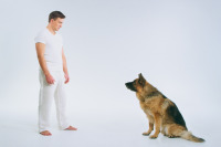 Манхеттенський фестиваль короткометражних фільмів - 2020