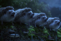 Манхеттенський фестиваль короткометражних фільмів - 2020