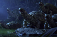 Манхеттенський фестиваль короткометражних фільмів - 2020