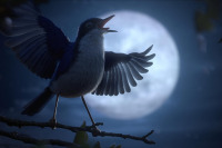 Манхеттенський фестиваль короткометражних фільмів - 2020