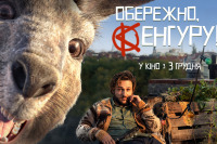 Осторожно, кенгуру!