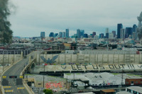 Птица в клетке