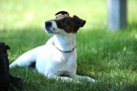 Чілдрен Кінофест 2021