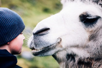 Чілдрен Кінофест 2021