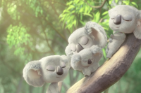 Назад у хащі